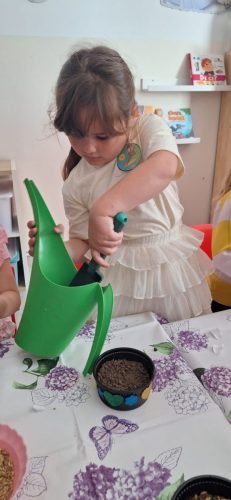 IMG-20250506-WA0103