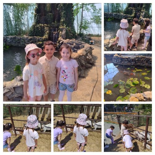 WhatsApp-Image-2025-06-06-at-13.08.51 9a5f4508